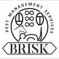About Brisk Group
